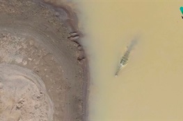 WCS Releases First-Known Drone Footage of Wild, Critically Endangered Orinoco Crocodile (English and Spanish)